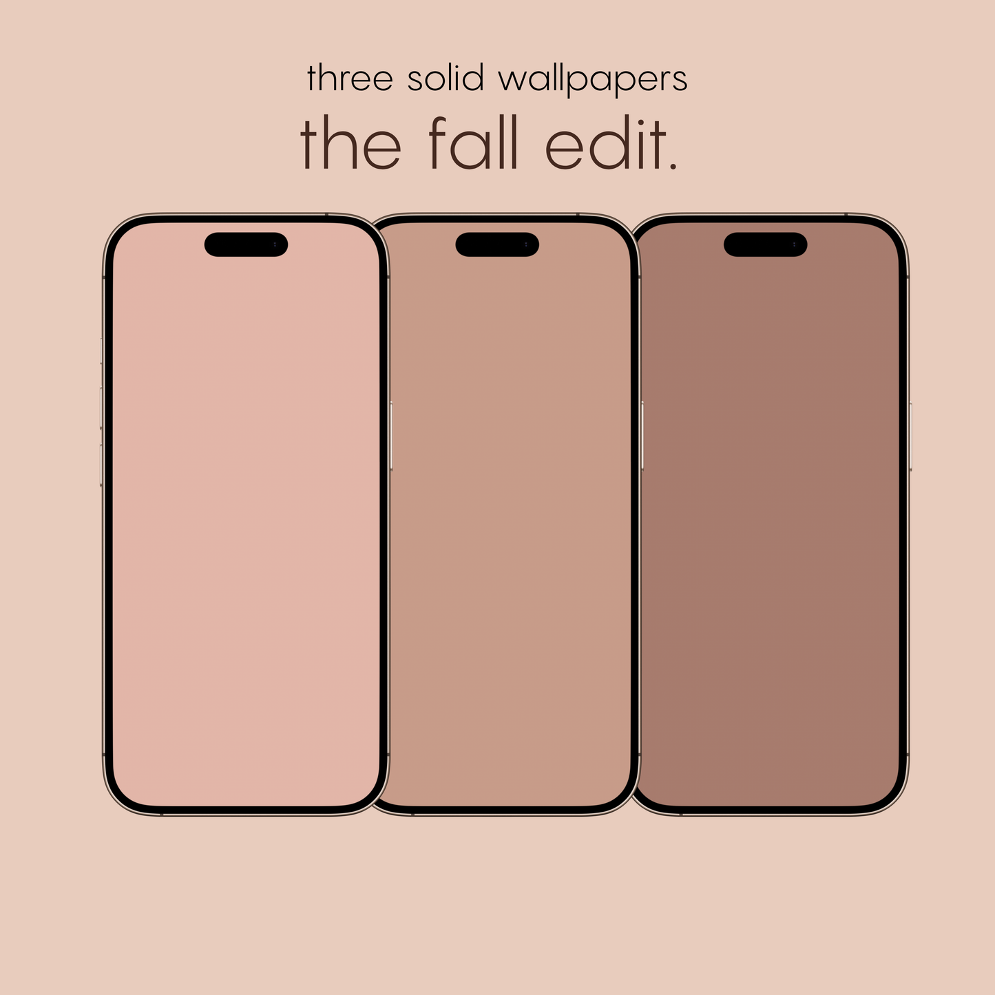 the fall edit.