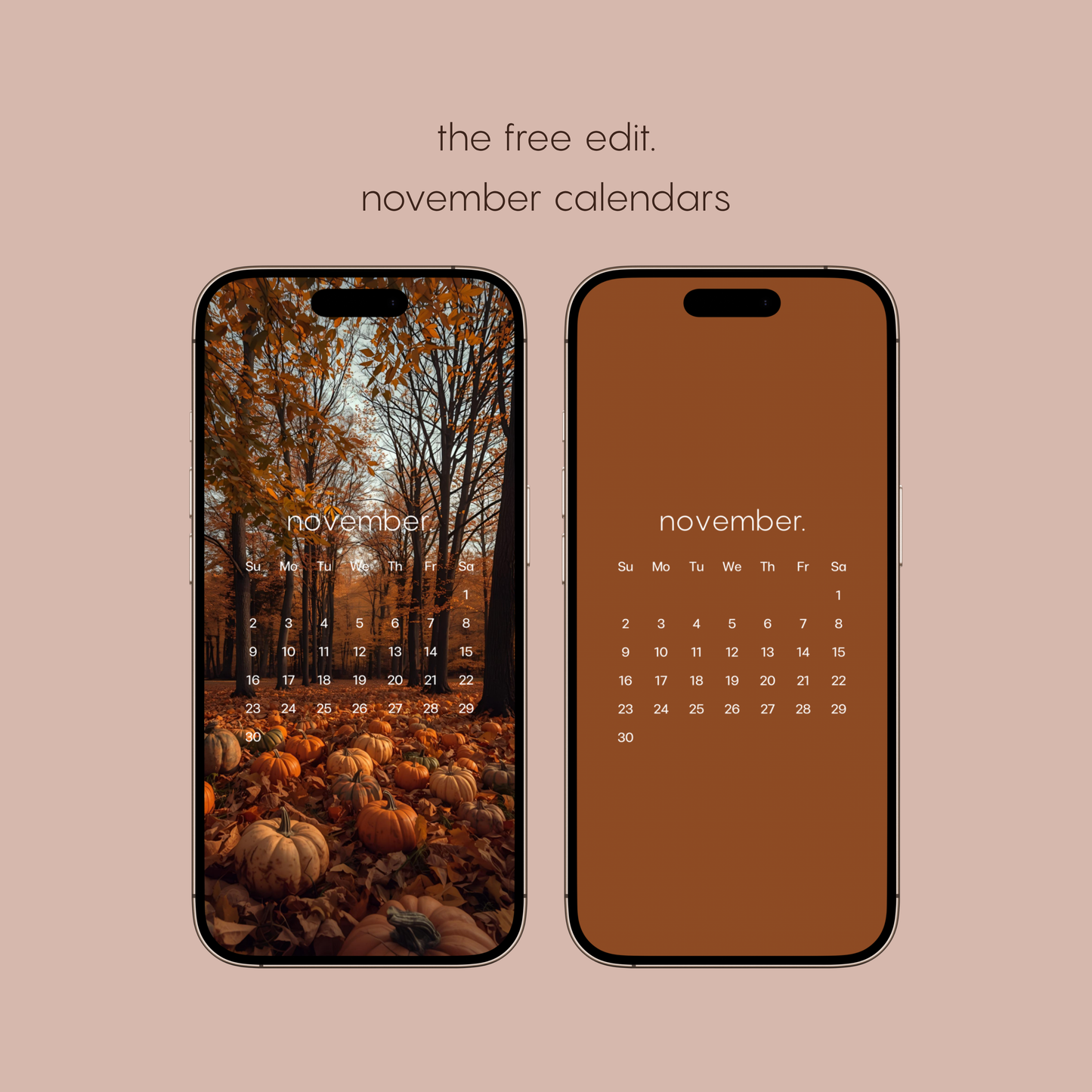 november calendar phone bundle.